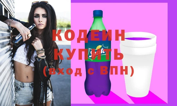 молекула духа Пестово