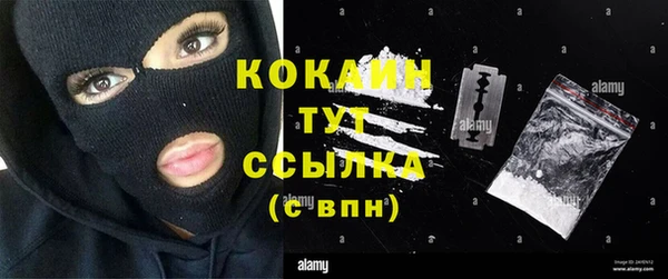 молекула духа Дмитров
