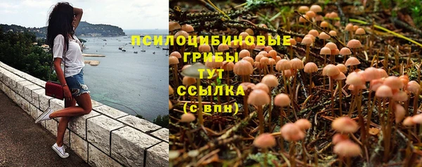 каннабис Аркадак