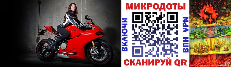 Галлюциногенные грибы прущие грибы  Вяземский 