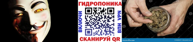 Бошки Шишки индика  mega зеркало  Вяземский  даркнет сайт 